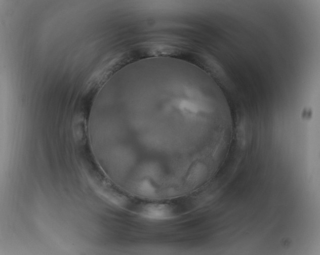 X0000111150169200906301345