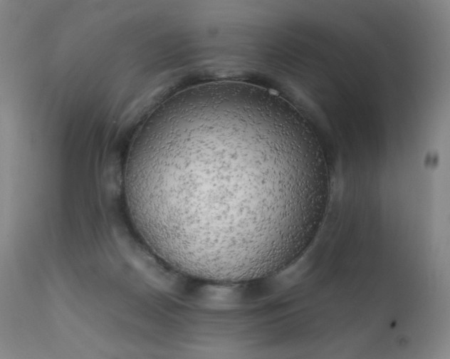 X0000111150170200906301345