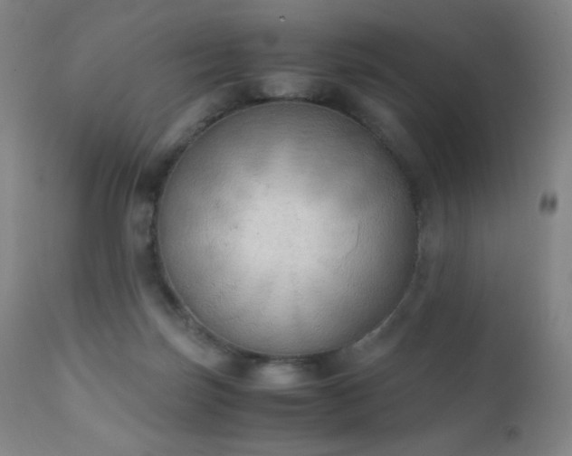 X0000111150171200906301345