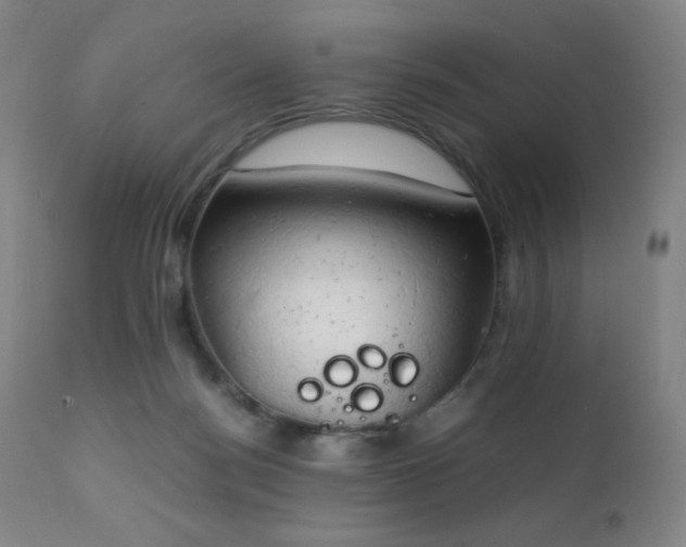 X0000111150172200906301345
