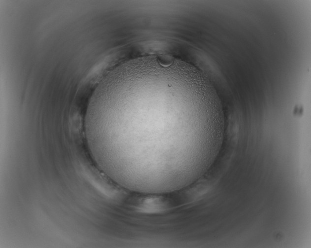 X0000111150173200906301345