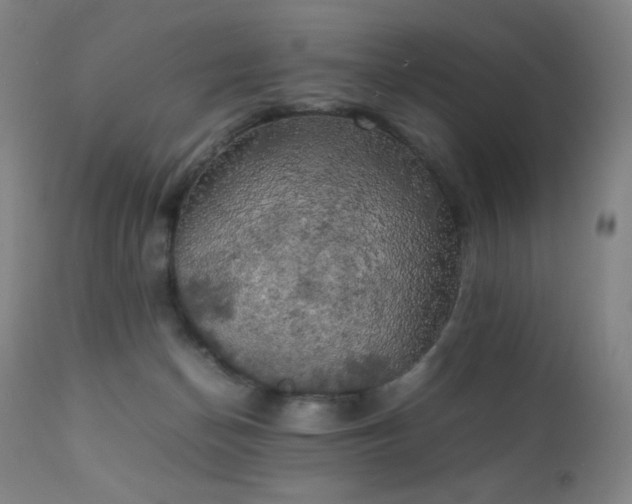 X0000111150174200906301345