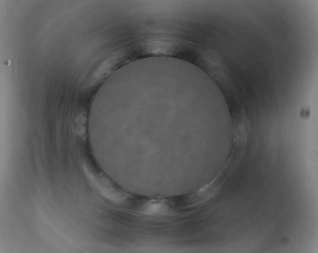 X0000111150175200906301345