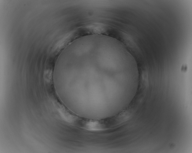 X0000111150177200906301345