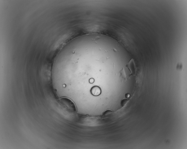 X0000111150179200906301345