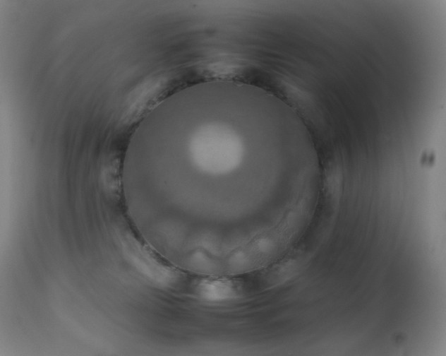 X0000111150181200906301345