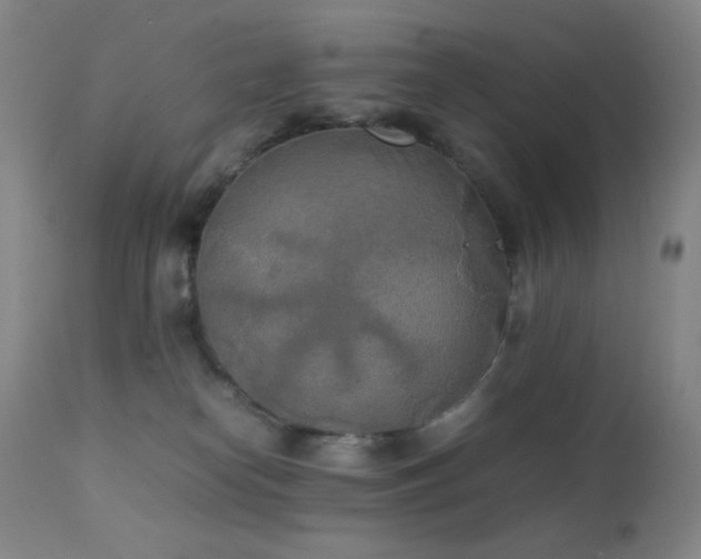 X0000111150182200906301345