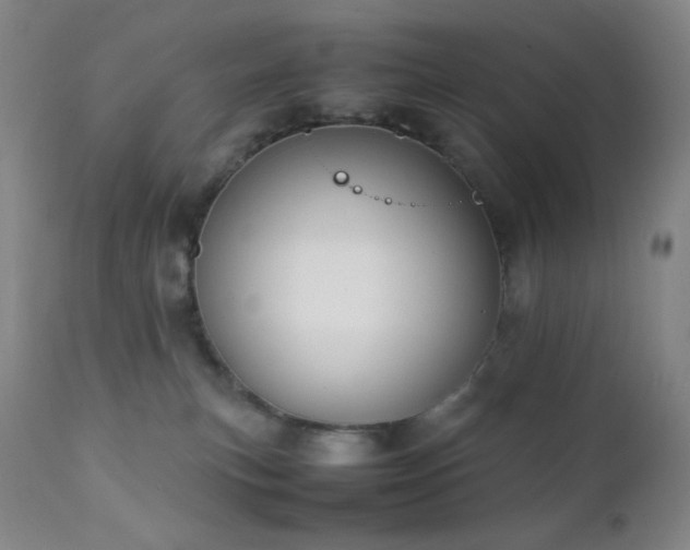 X0000111150183200906301345