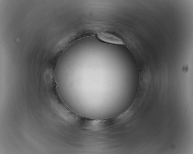 X0000111150184200906301345