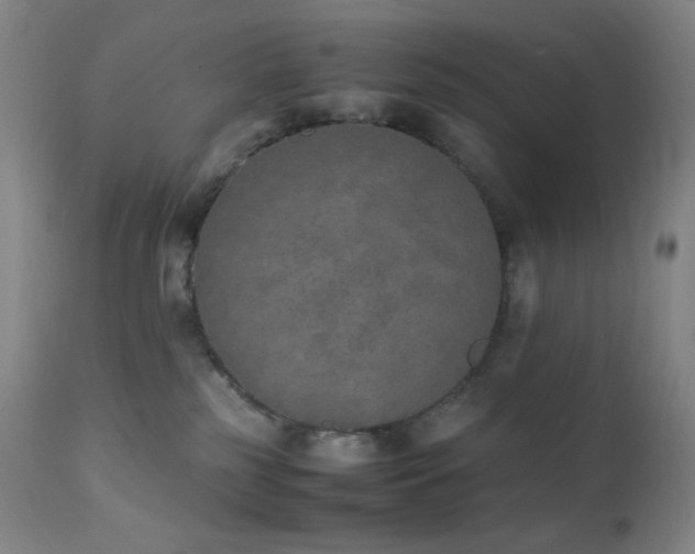 X0000111150185200906301345
