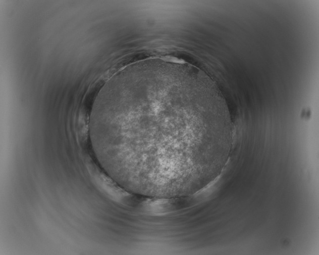 X0000111150186200906301345