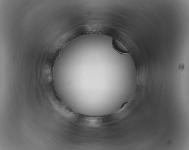 X0000111150187200906301345