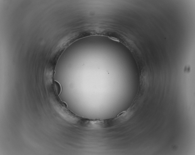 X0000111150188200906301345