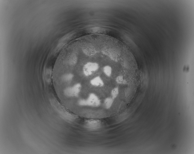 X0000111150189200906301345