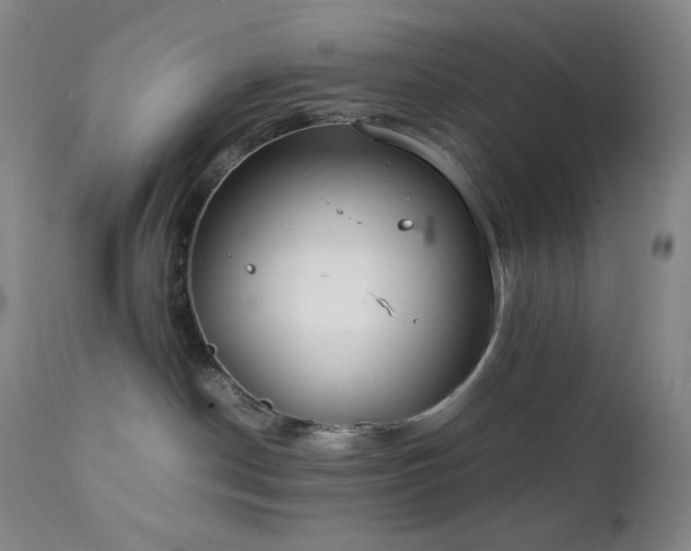 X0000111150190200906301345