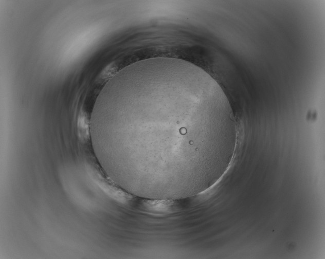 X0000111150191200906301345