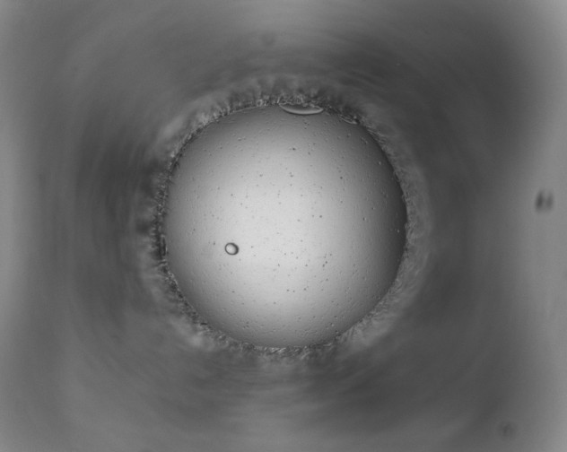 X0000111150192200906301345