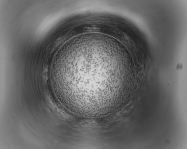 X0000111150194200906301345