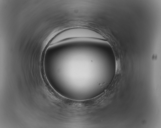 X0000111150195200906301345
