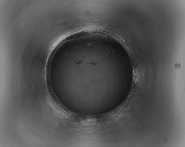 X0000111150196200906301345