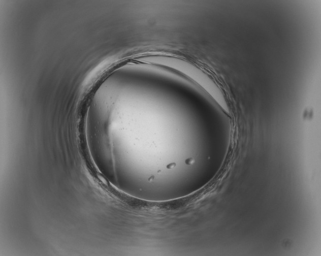 X0000111150197200906301345
