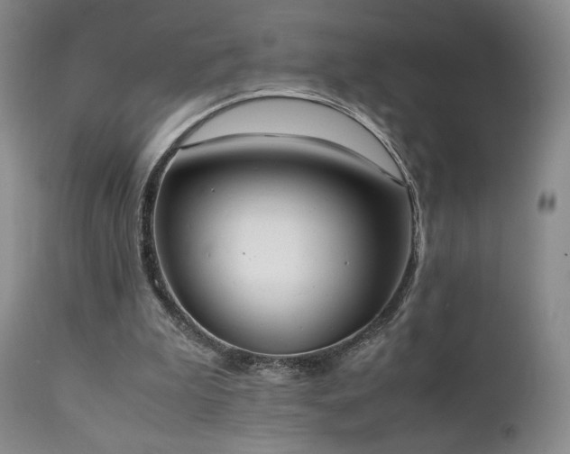 X0000111150199200906301345