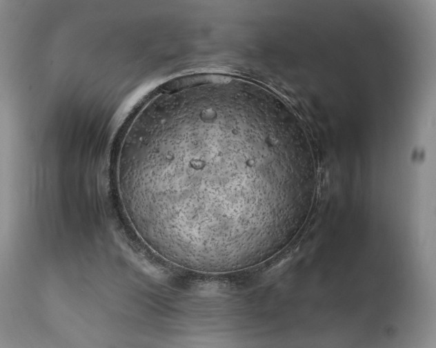 X0000111150200200906301345