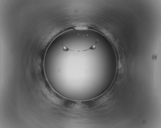 X0000111150201200906301345