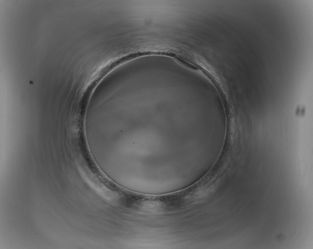 X0000111150203200906301345