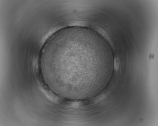 X0000111150204200906301345
