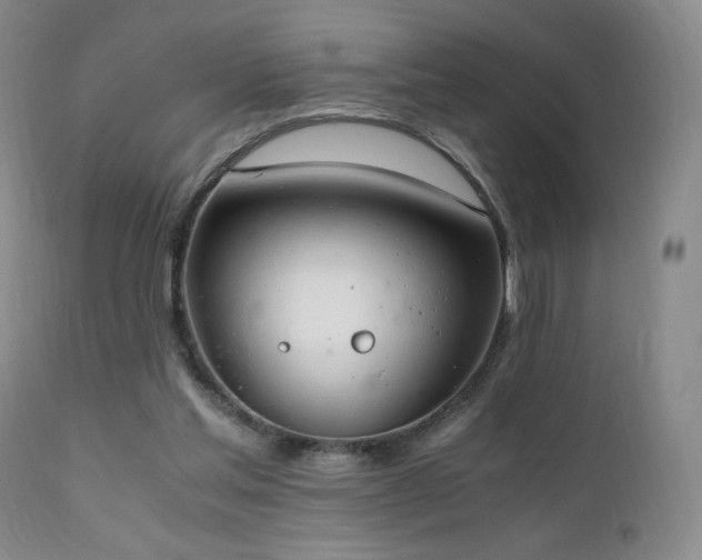 X0000111150205200906301345
