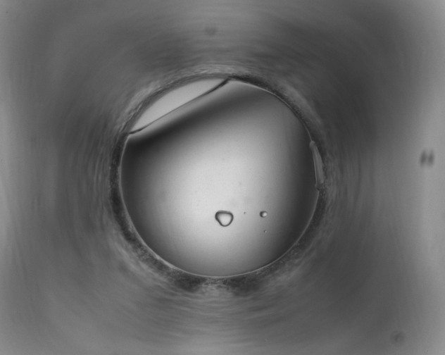 X0000111150207200906301345