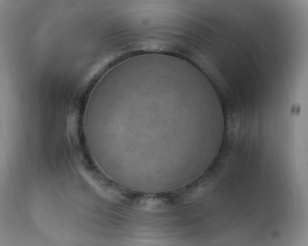 X0000111150208200906301345