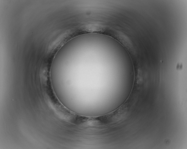 X0000111150210200906301345