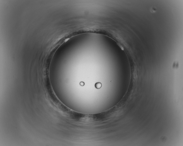 X0000111150211200906301345