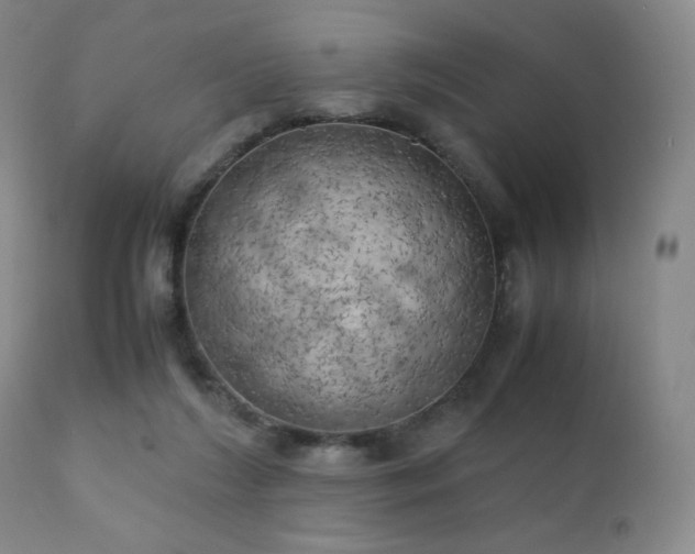 X0000111150212200906301345