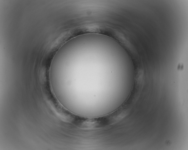 X0000111150213200906301345