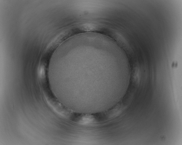 X0000111150214200906301344