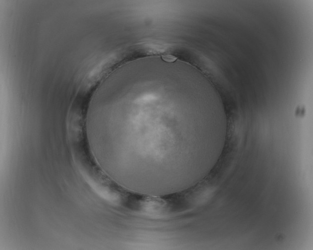 X0000111150215200906301344