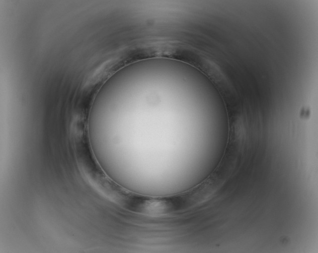 X0000111150218200906301344