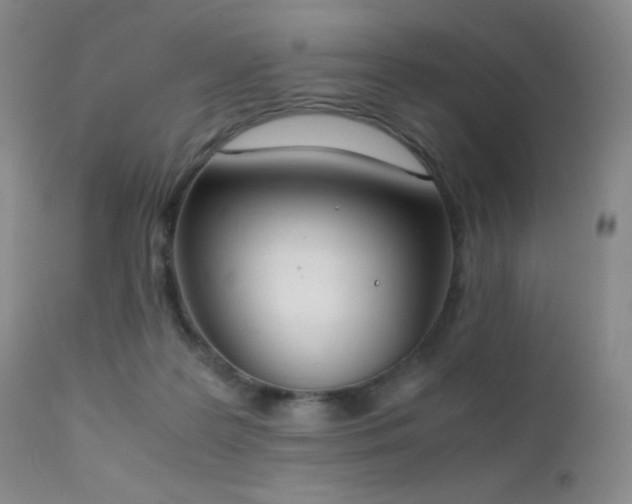 X0000111150219200906301344