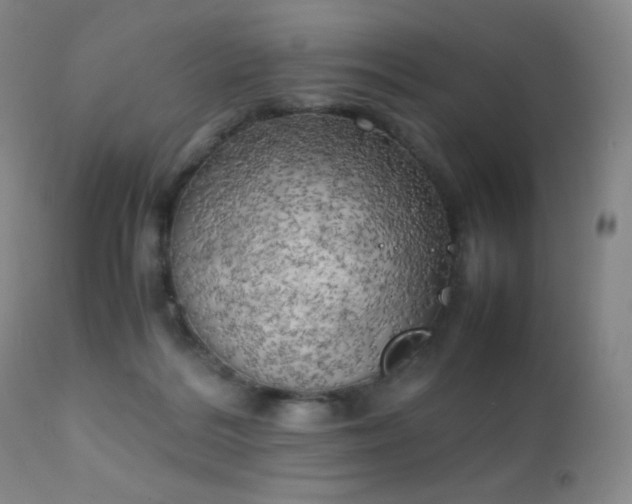 X0000111150220200906301344