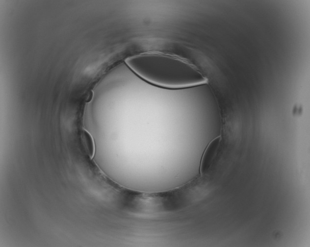 X0000111150221200906301344