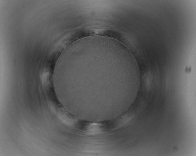 X0000111150222200906301344