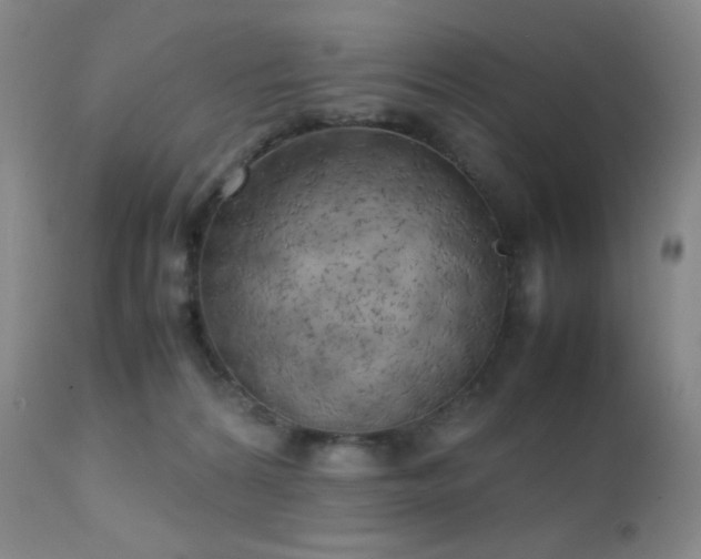 X0000111150224200906301344