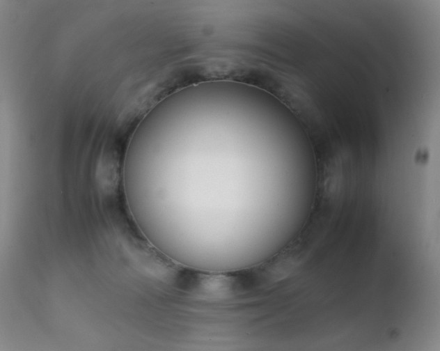 X0000111150226200906301344