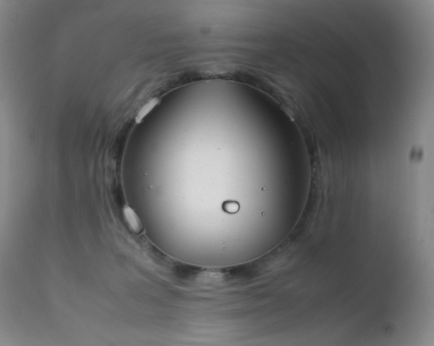 X0000111150227200906301344