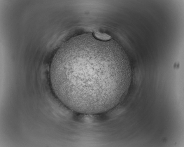 X0000111150229200906301344