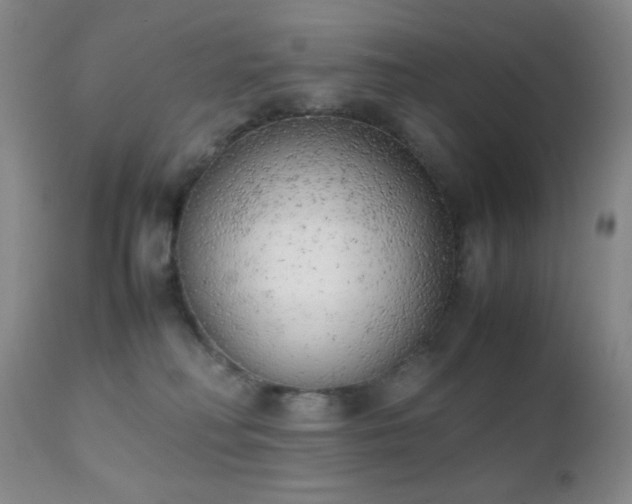 X0000111150230200906301344