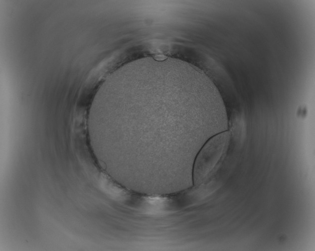 X0000111150233200906301344